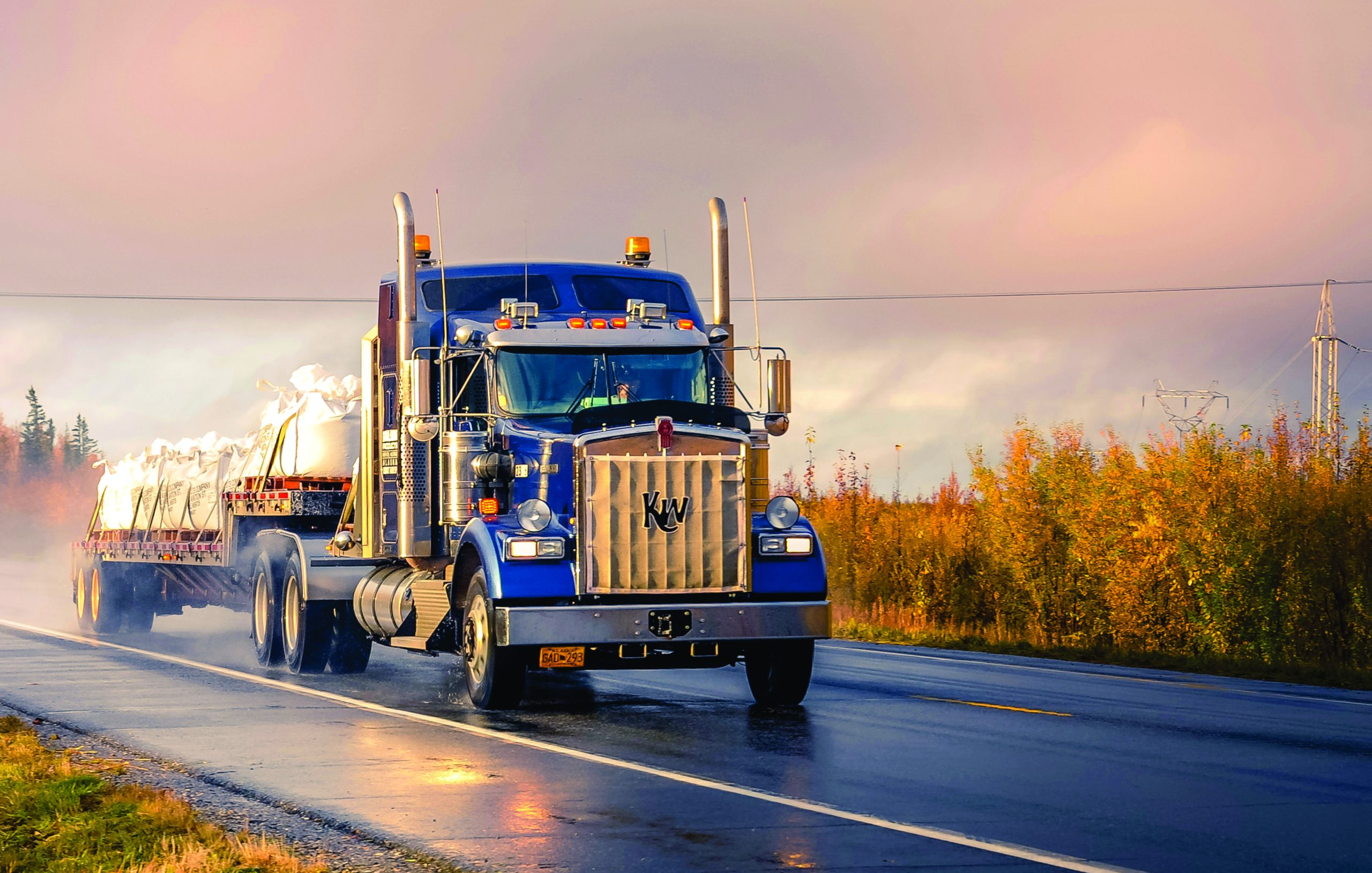 Professional Job Search