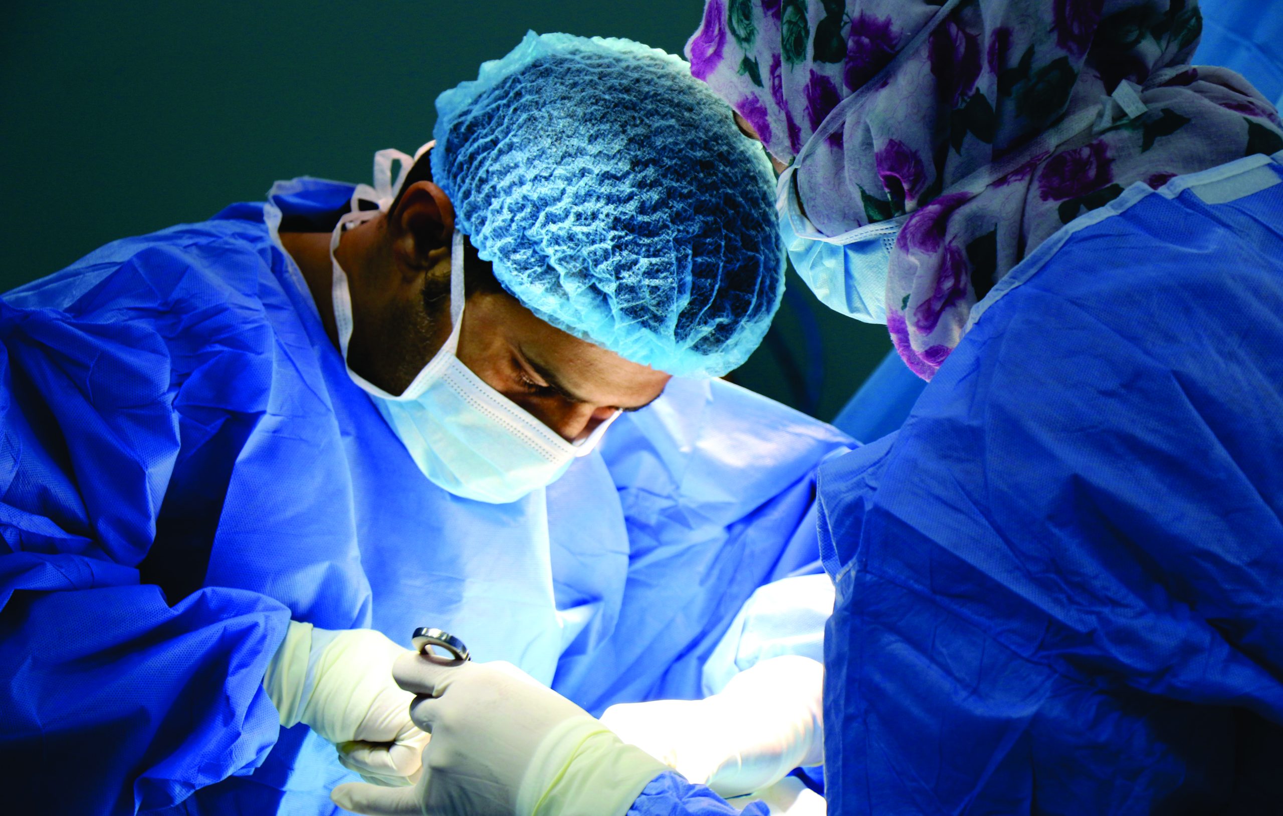 Professional Job Application Service